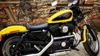 Harley-Davidson Sportster 1200 - Tiger