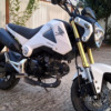 Honda Grom MSX125 - Ginger