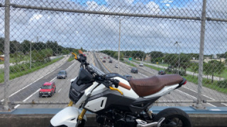 Honda Grom MSX125