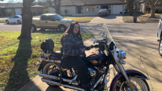 Harley-Davidson Softail Deluxe - Purple Bear