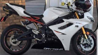 Triumph Daytona 675 - Rexy 6