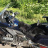 Honda GL 1800 - Goldwing