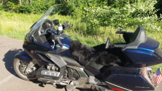 Honda GL 1800 - Goldwing