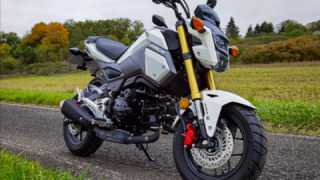 Honda Grom MSX125 - Bosco