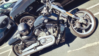 Harley-Davidson V-Rod Muscle