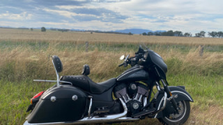 Indian Chieftain Dark Horse - Lucille