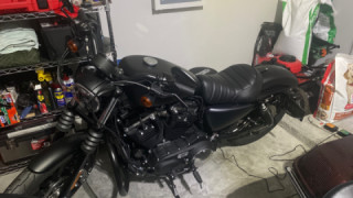 Harley-Davidson Sportster 883 - Lady