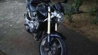 Honda CB 600 - Wolf