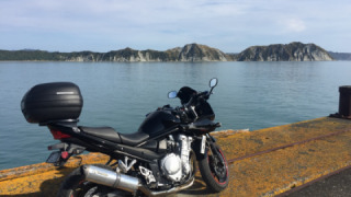 Suzuki GSF 1250S Bandit - Rose