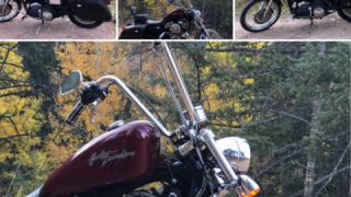 Harley-Davidson Sportster 1200