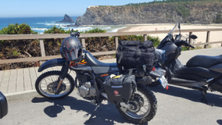 Suzuki DR 650 - Bush Pig