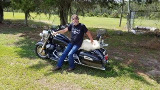 Yamaha Royal Star Tour Deluxe