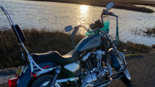 Harley-Davidson Sportster 883 - Teal