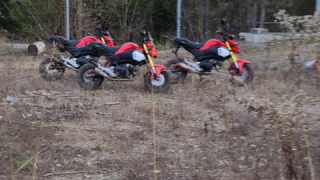 Honda Grom MSX125