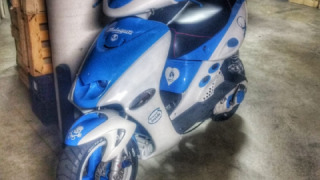 Malaguti F15 Firefox - Fox