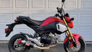 Honda Grom MSX125 - Panty Dropper