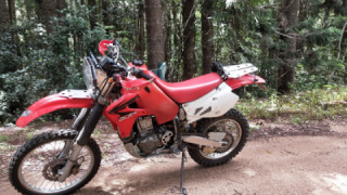 Honda XR 650R - Queen