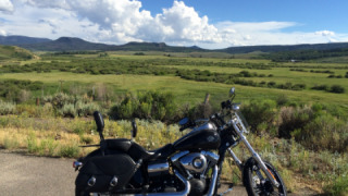 Harley-Davidson Wide Glide - Sadie