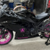 Kawasaki Ninja 300