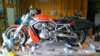 Harley-Davidson V-Rod - Mimi