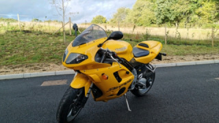 Triumph Daytona 995i - Bumble Bee