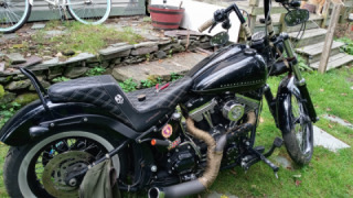 Harley-Davidson Blackline - Betty