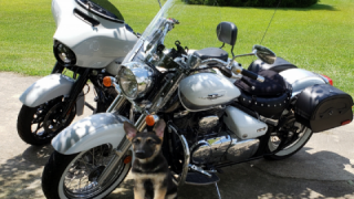 Suzuki Boulevard C50 - Mighty Whitey
