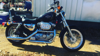 Harley-Davidson Sportster 1200 - Beast