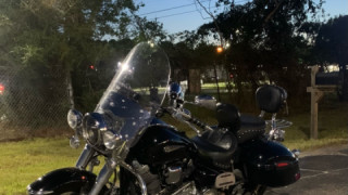 Yamaha Road Star Silverado - bear