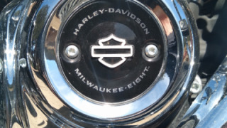 Harley-Davidson Road King - Kitten