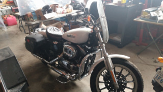 Harley-Davidson Sportster 1200 - Pearl