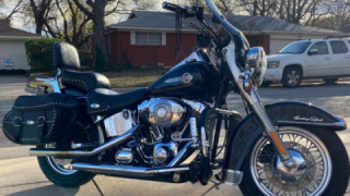 Harley-Davidson Softail Classic - Layla