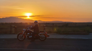 Honda VT 750 Shadow - Orange
