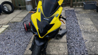 Suzuki GSXR 1000 - bee ?