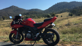 Suzuki SV 1000 - Jessie