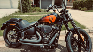 Harley-Davidson Street Bob - Michelangelo (Mikey)