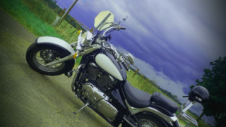 Suzuki VL 800 Volusia