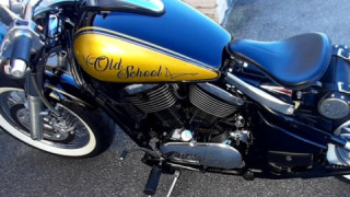 Kawasaki Vulcan 800 - Milf❤