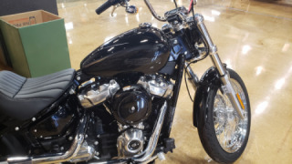 Harley-Davidson Softail Standard - Daily
