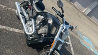 Harley-Davidson V-Rod Muscle - Selene ?