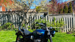 Triumph Speedmaster - Hidalgo