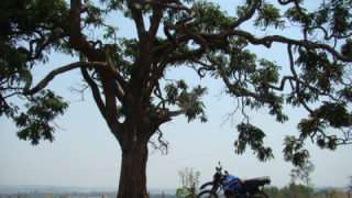Yamaha XT 600 Tenere - XTzão