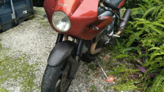 Moto Guzzi V 11 Le Mans