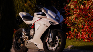 MV Agusta F3 - speedy noodle