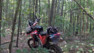 Honda CRF 450 - F’Red