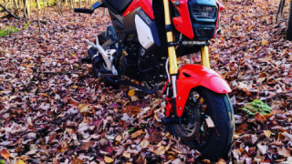 Honda Grom MSX125 - Sassy