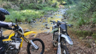 Yamaha WR 450F - Bitch