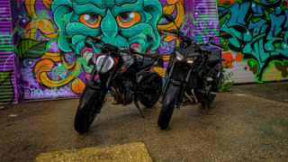 KTM Duke 790 - L