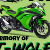 Kawasaki Ninja 300 - Katie