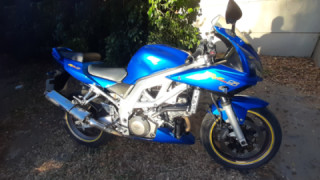 Suzuki SV 1000S